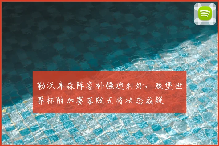 勒沃库森阵容补强迎利好，狼堡世界杯附加赛落败五将状态成疑